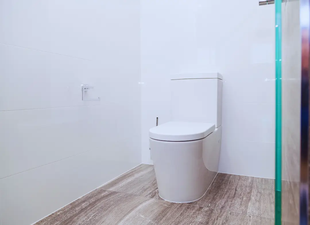 Remplacement de wc Vernouillet